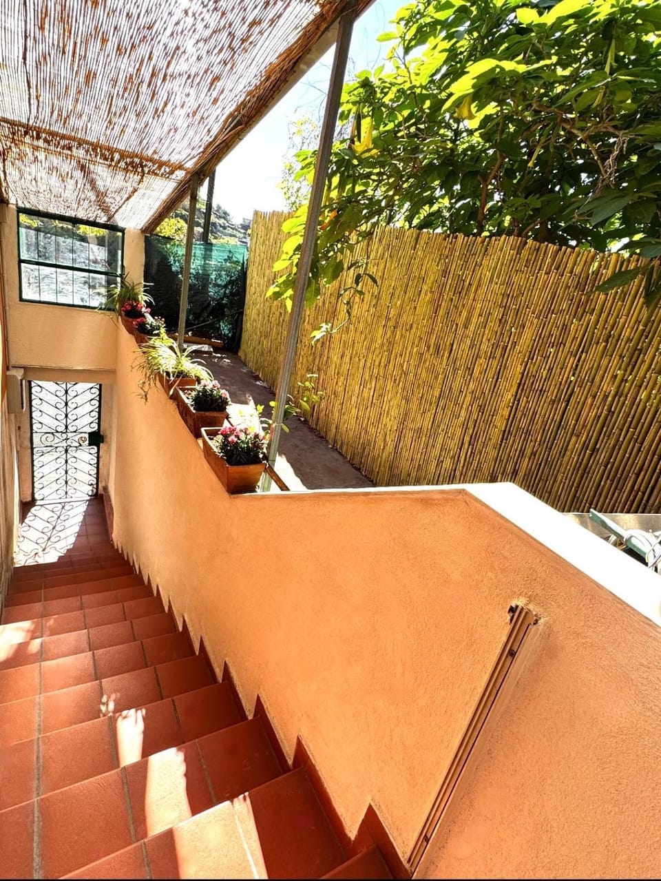 Patio, Day, Garden, View (from property/room), Balcony/Terrace, Garden view