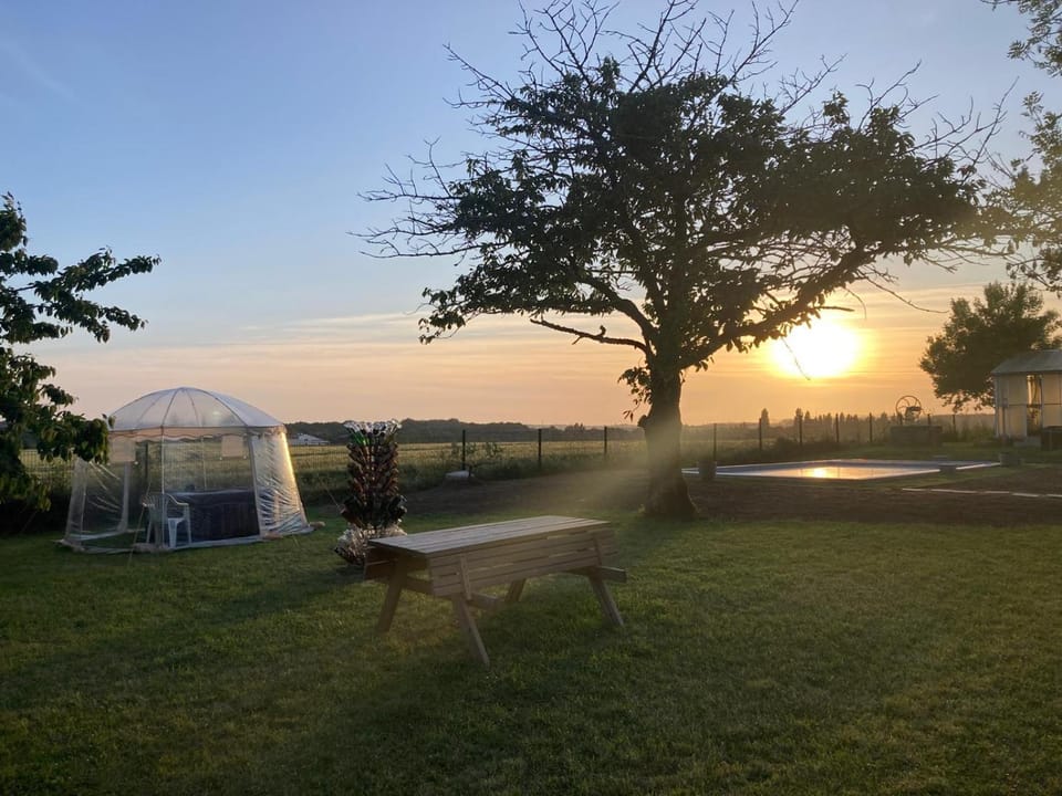 Garden view, Swimming pool, Sunset