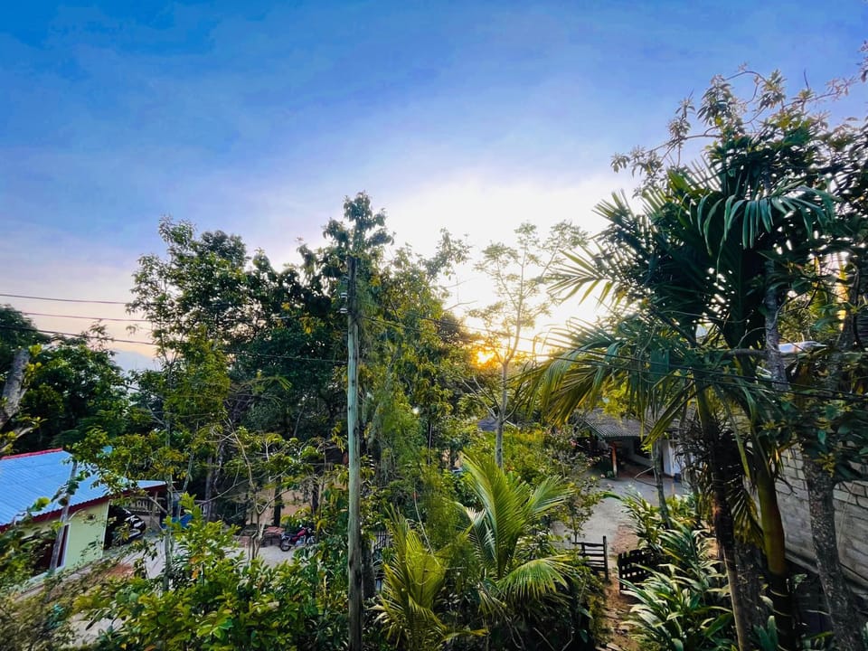 Garden view