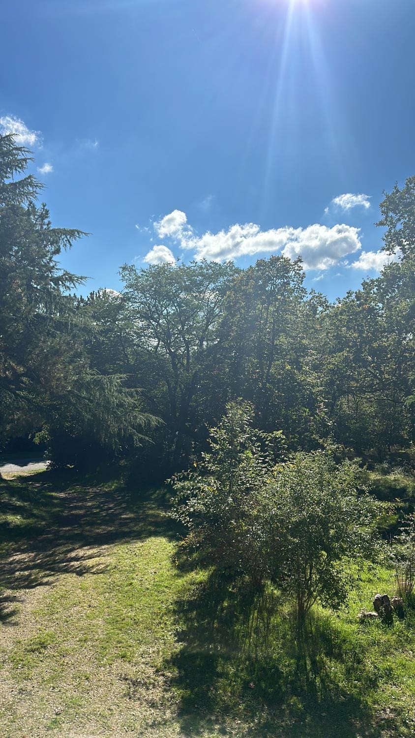Natural landscape