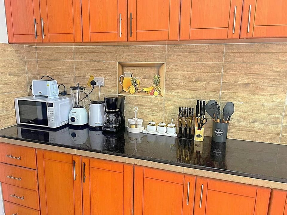 Lavish Homely Apt 5 Apartment in Uganda