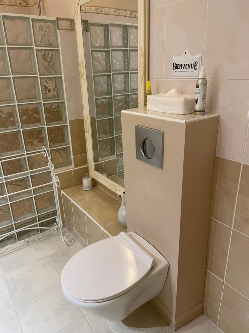 Toilet, Bathroom