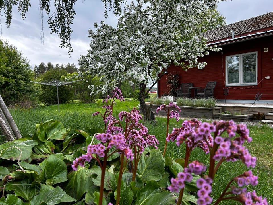 Property building, Spring, Day, Natural landscape, Garden, Garden view