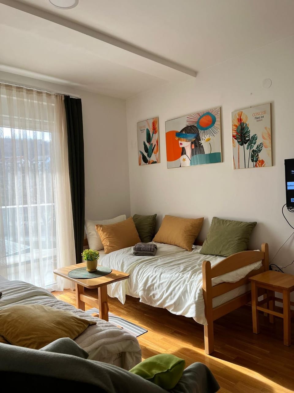 Bed, TV and multimedia, Living room, Seating area, Bedroom