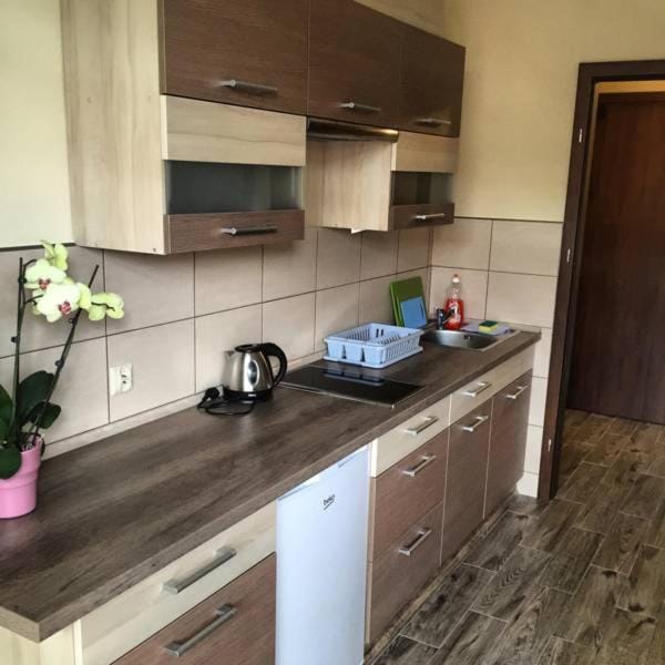 Willa Pan Tadeusz Apartment in Lower Silesian Voivodeship