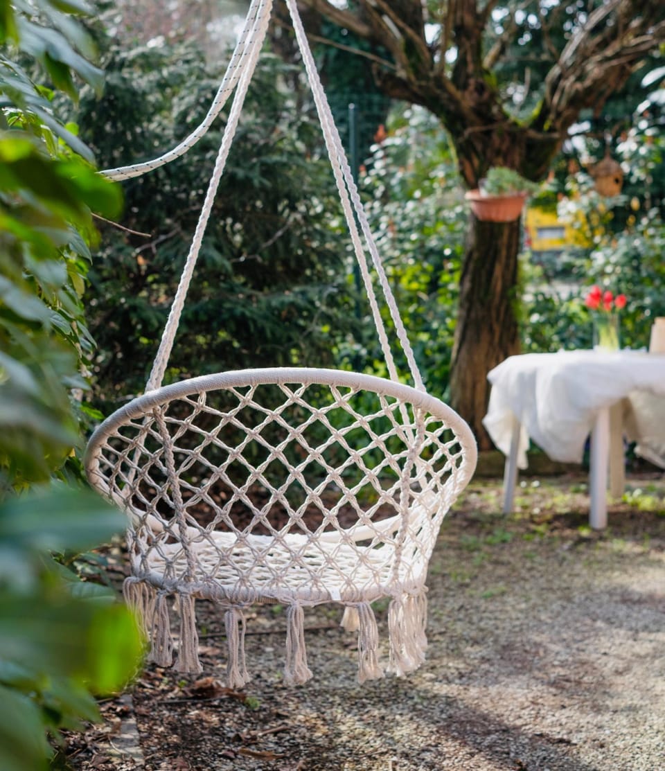Spring, Day, Garden, Pets, Garden view