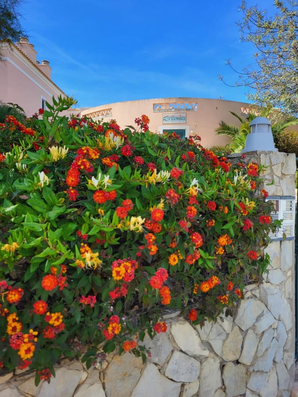 A Place in the Sun Alvor Apartment in Alvor