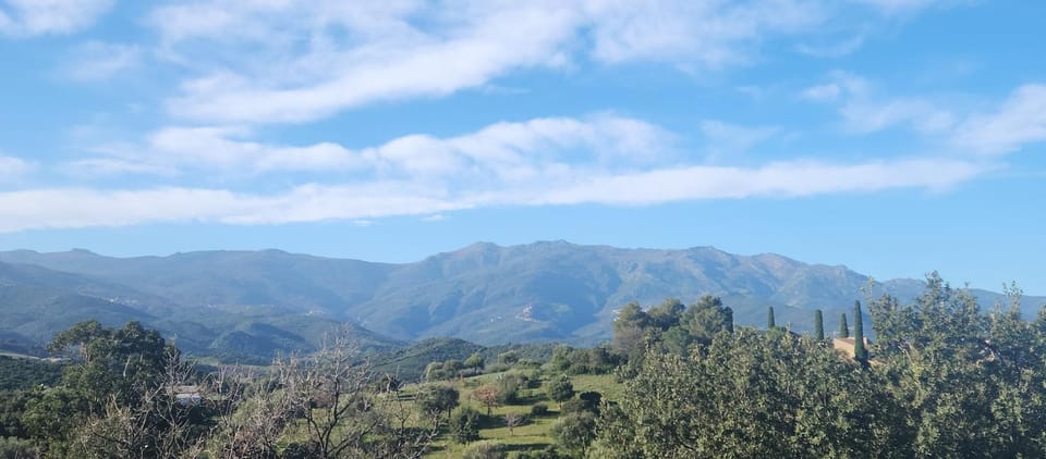 Mountain view