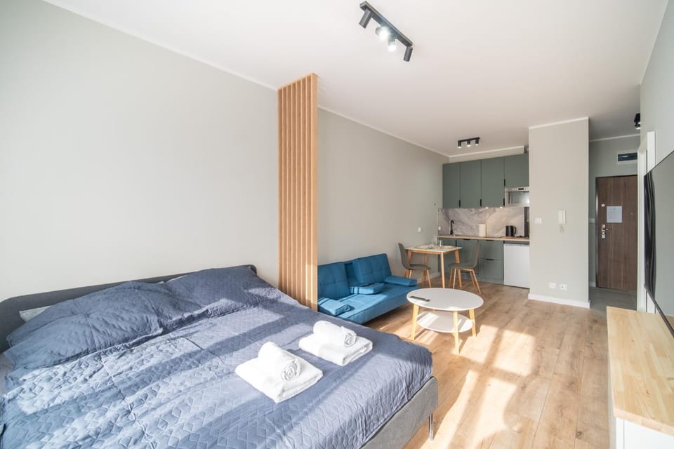 Bed, Living room, Photo of the whole room, Seating area, Bedroom