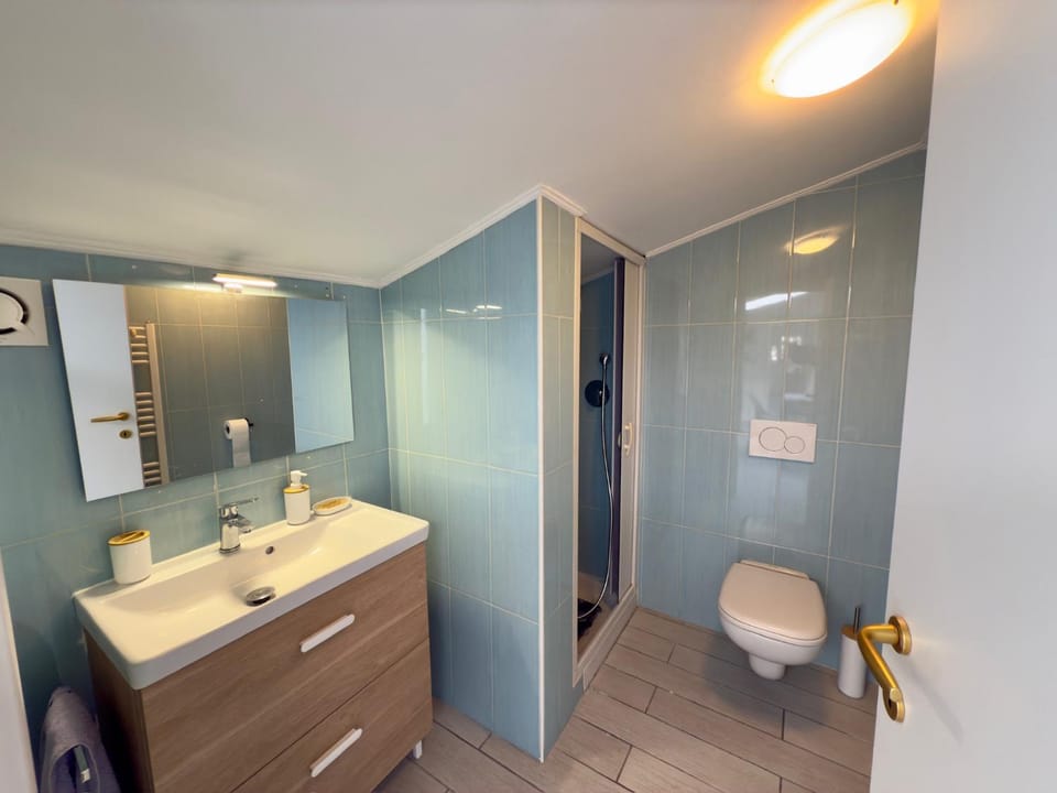 Shower, Toilet, Bathroom