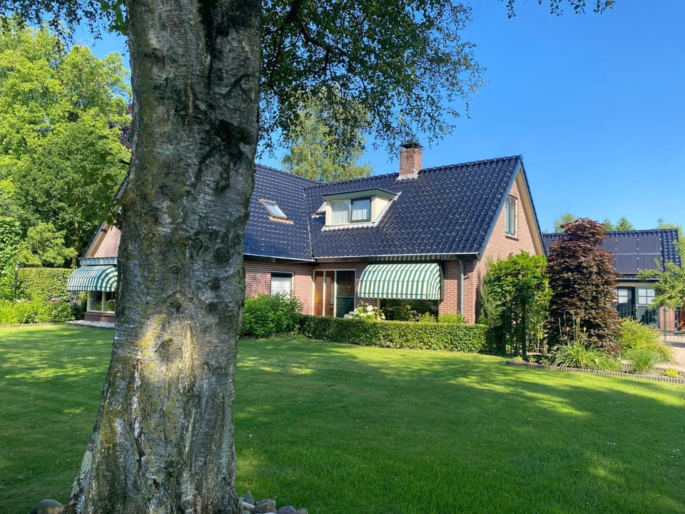 Property building, Day, Garden view