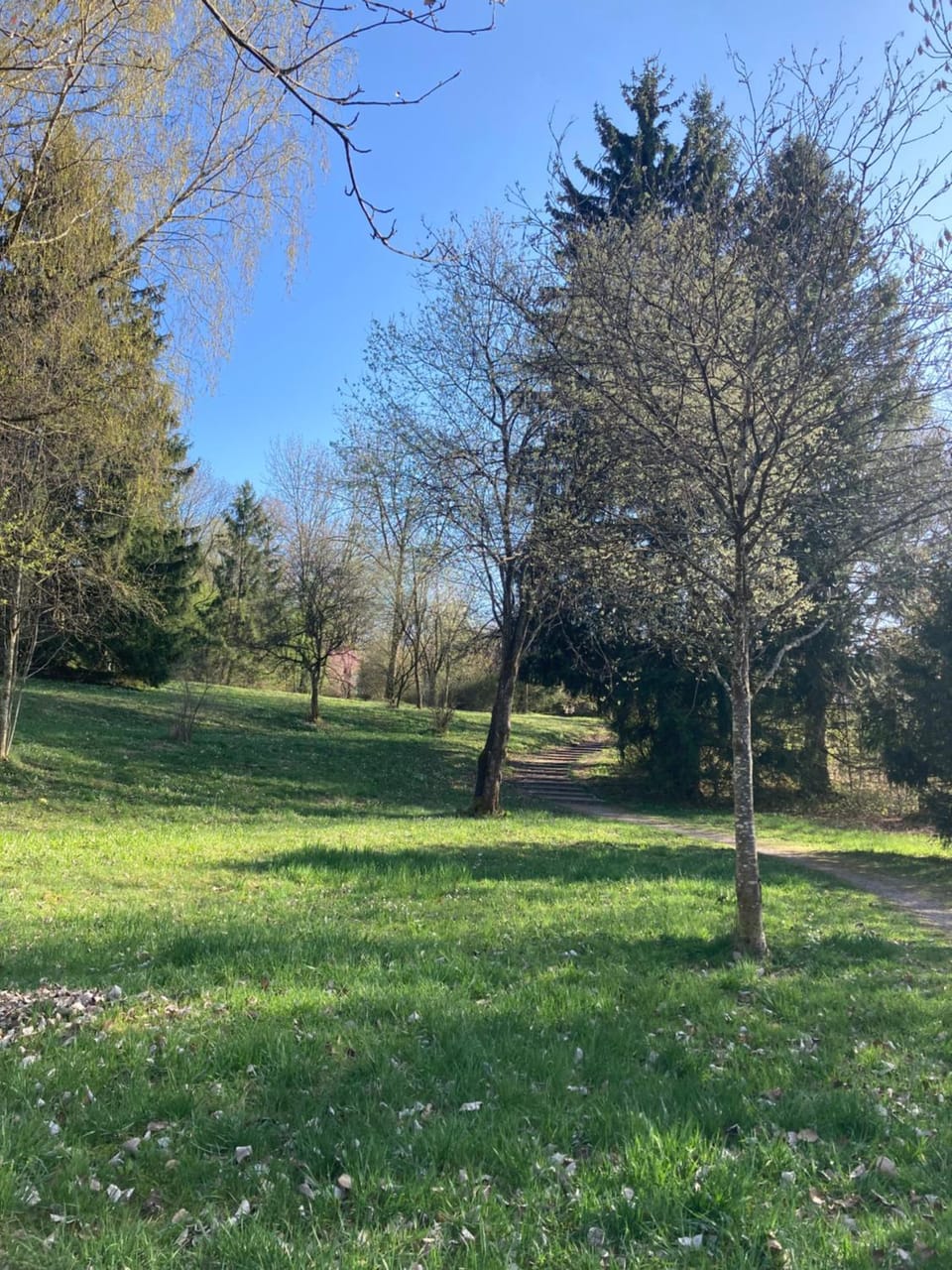 Spring, Garden