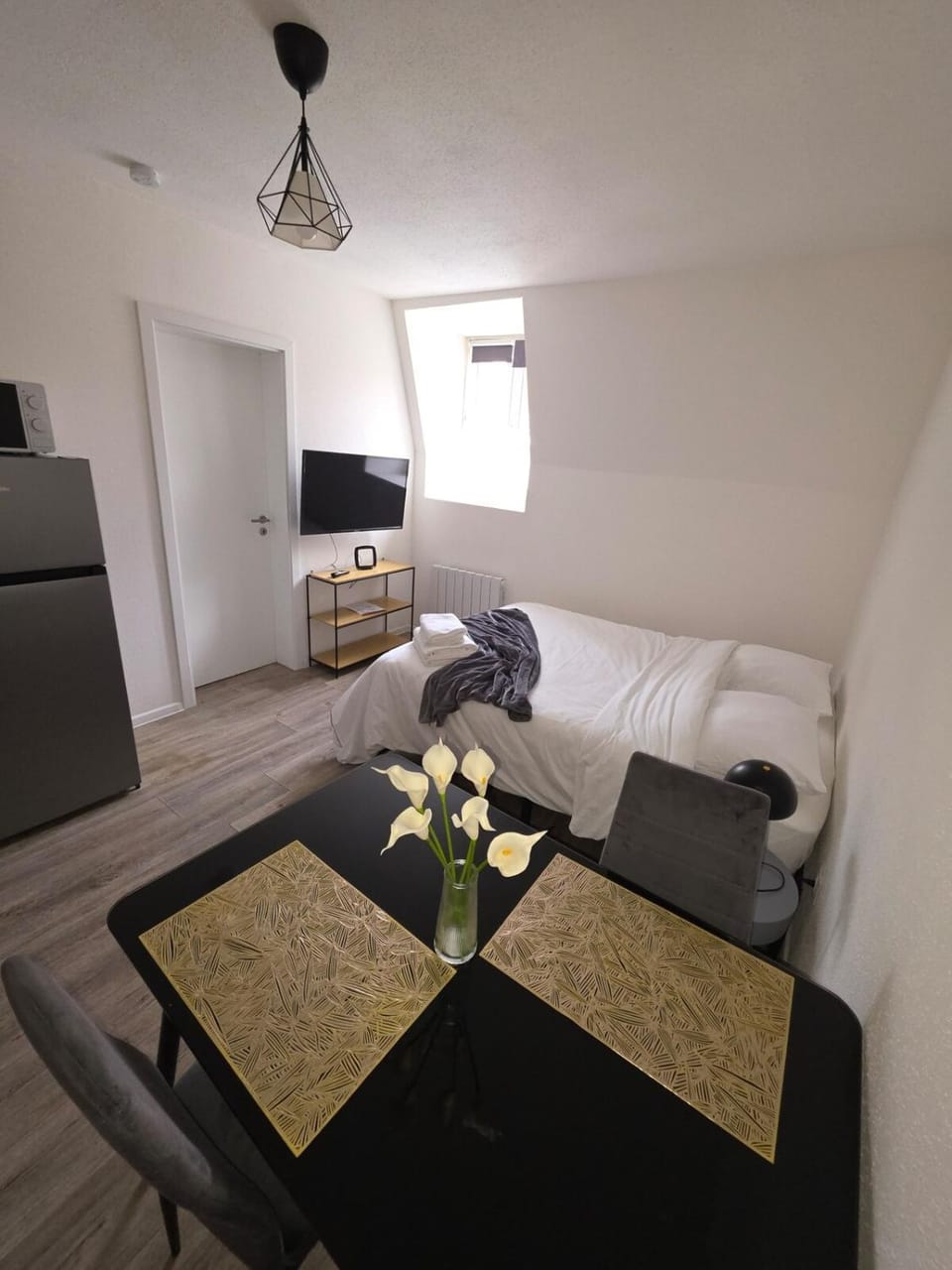 Studio "Cactus" moderne, confortable et au centre ville Apartment in Mulhouse