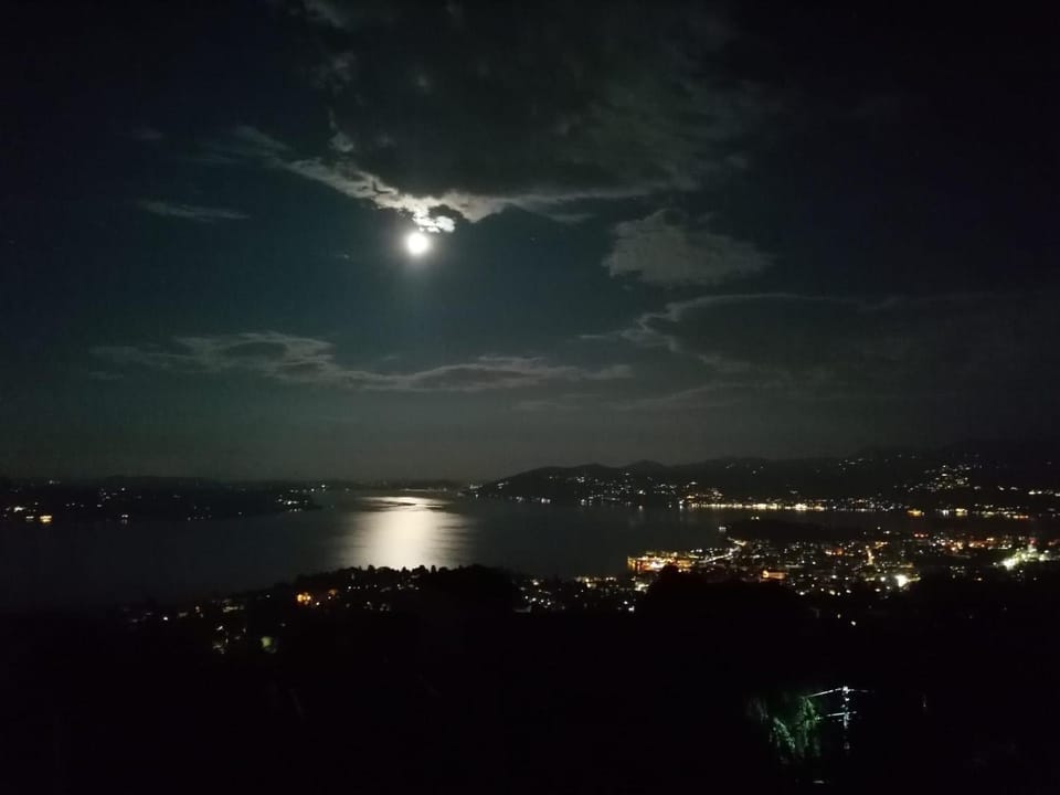 Lake view