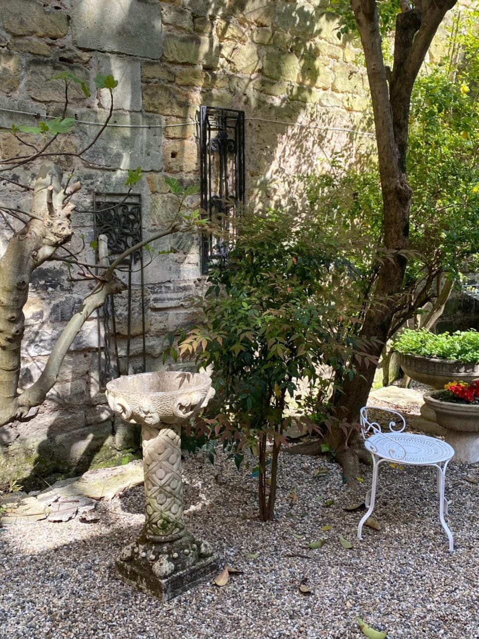 Dépendance calme avec jardin au coeur de Bordeaux Apartment in Bordeaux