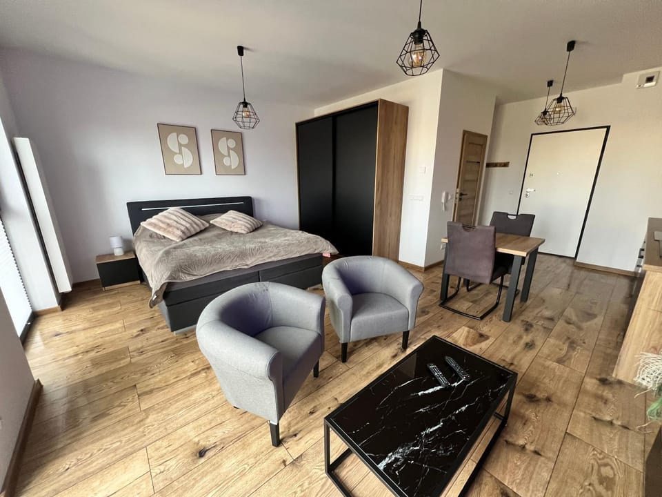 Bed, TV and multimedia, Kitchen or kitchenette, Living room, Photo of the whole room, Seating area, Dining area, Bedroom, oven, wardrobe