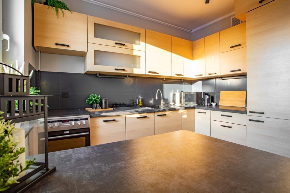 Kitchen or kitchenette, dishwasher, oven, stove
