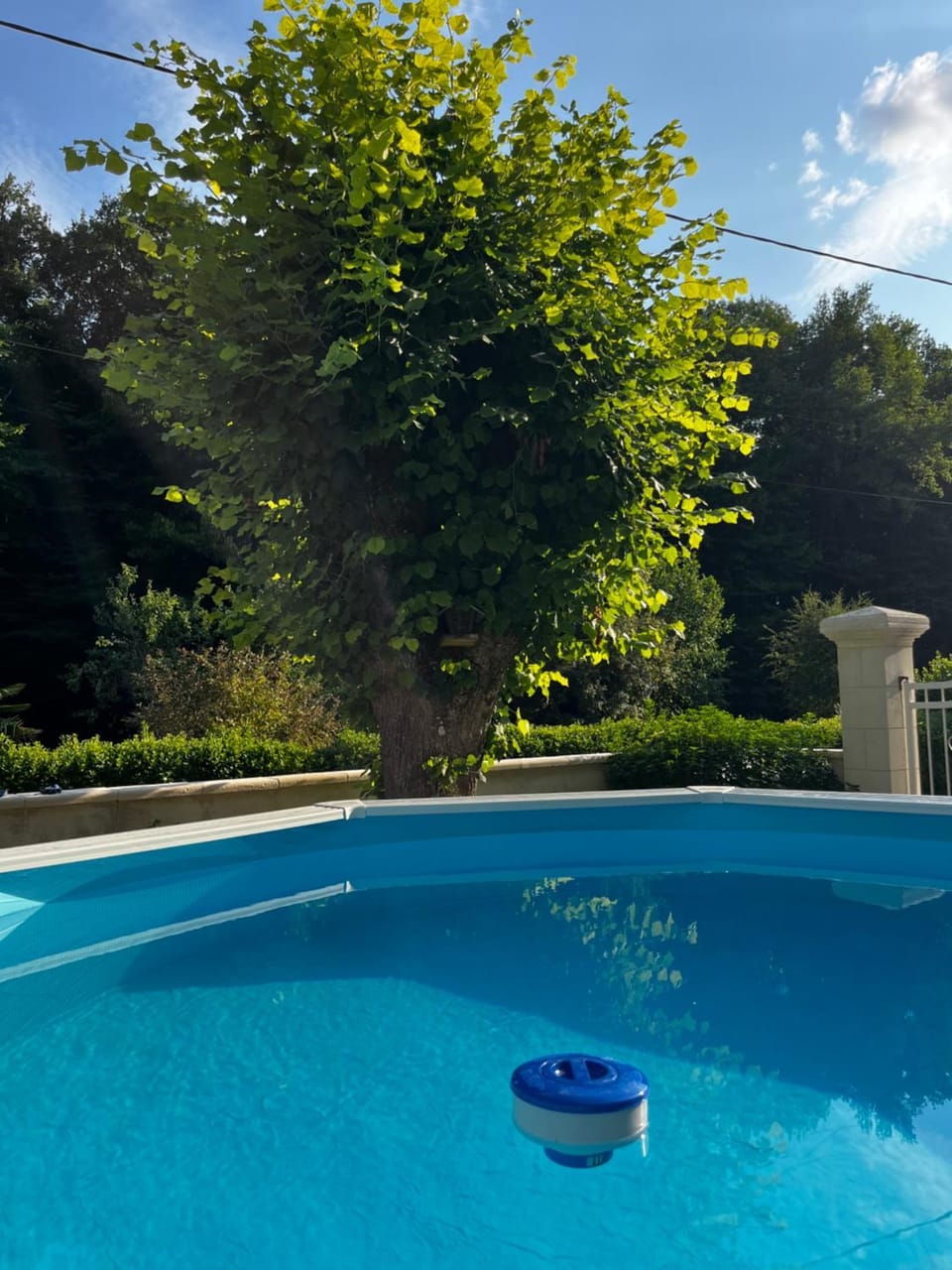 Day, Natural landscape, Pool view, Swimming pool