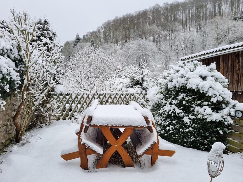 Natural landscape, Winter, Garden