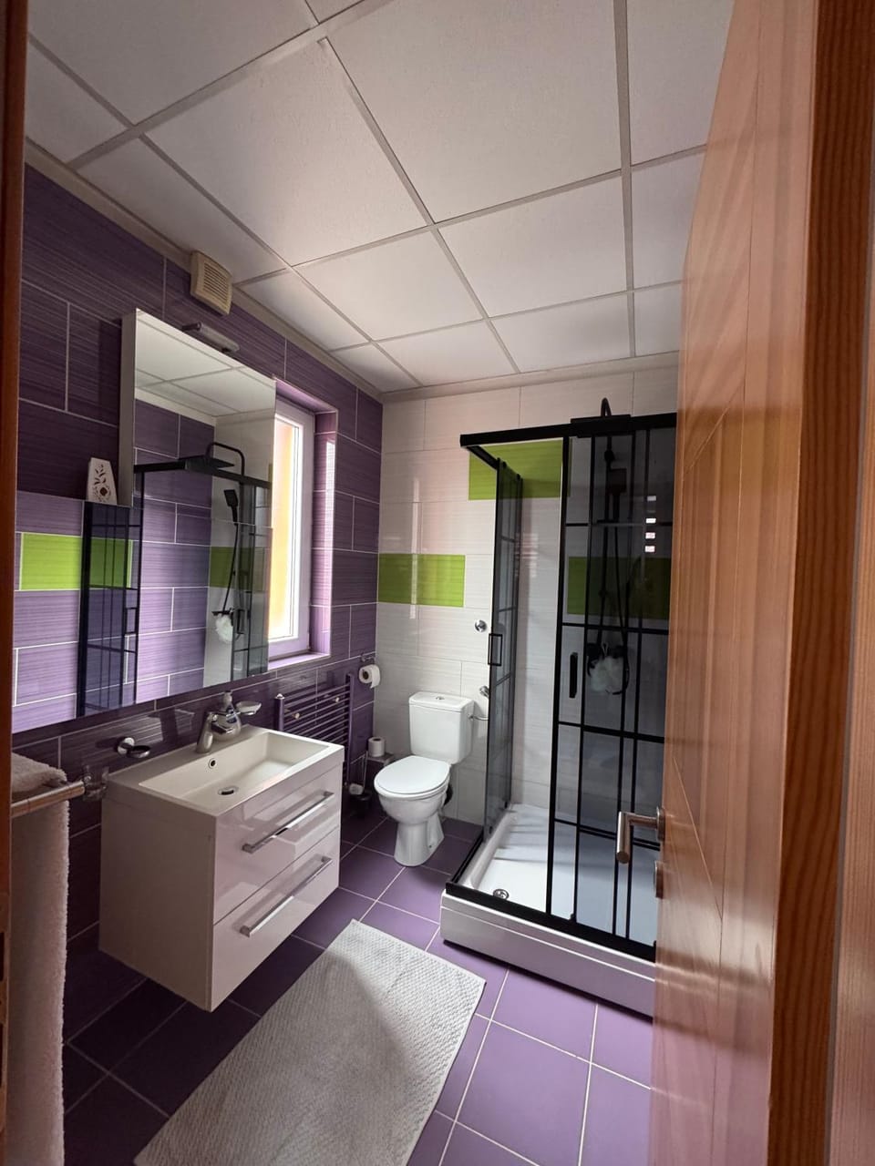 Shower, Toilet, Bathroom, towels