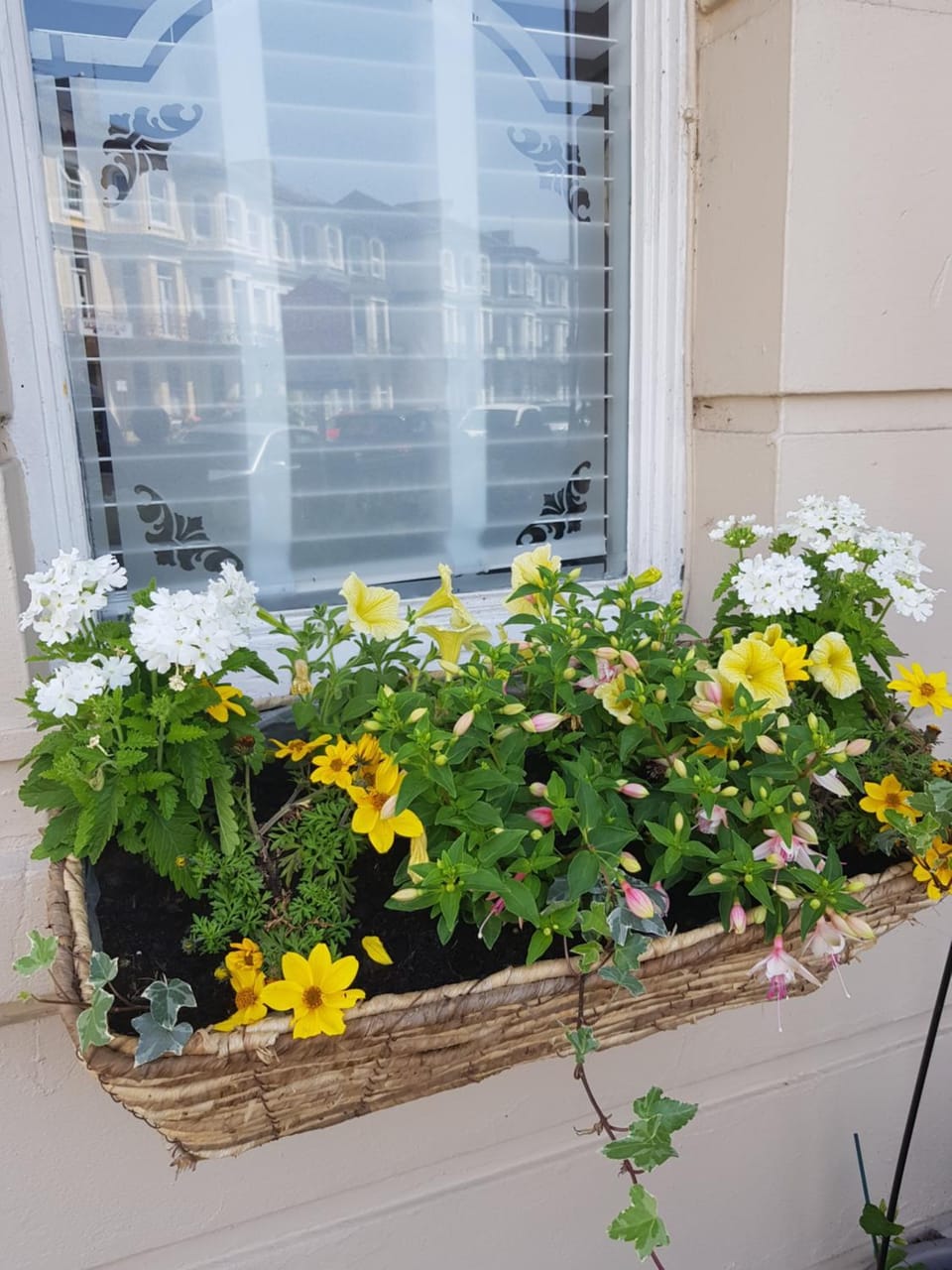 Spring