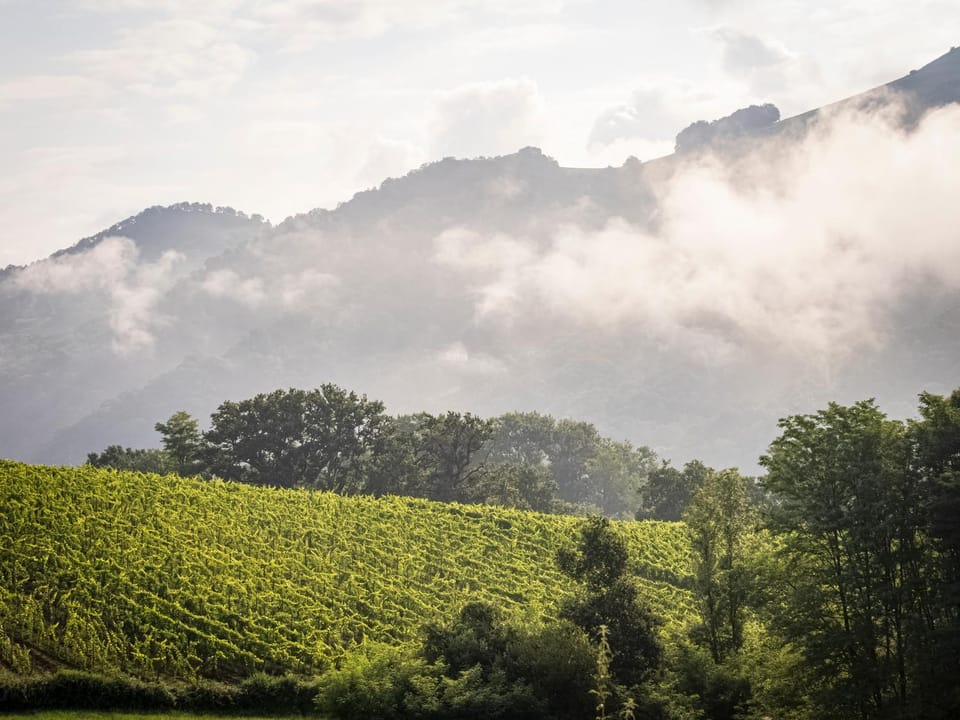 Spring, Day, Natural landscape, Mountain view