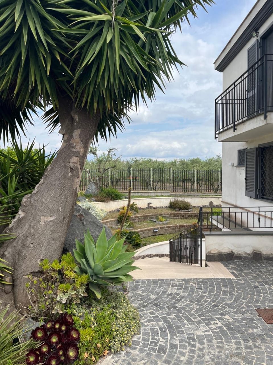 Property building, Patio, Spring, Day, Natural landscape, View (from property/room)