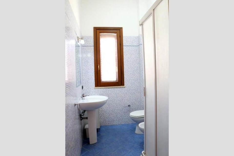 Shower, Toilet, Bathroom, bidet