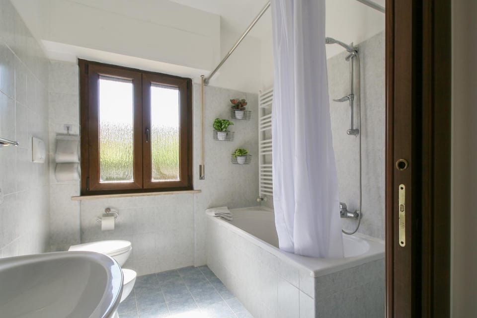 Toilet, Bathroom, Bath, towels