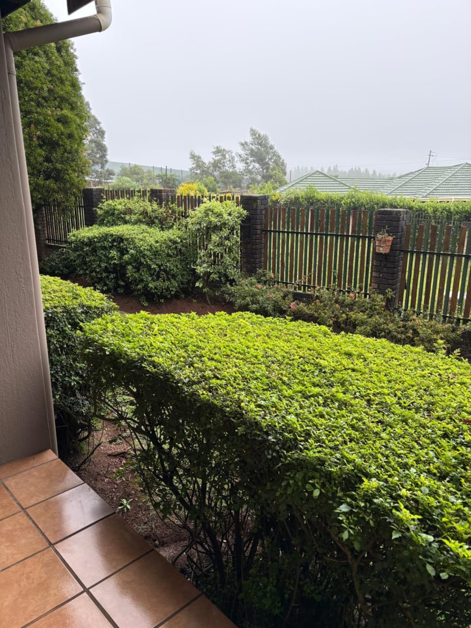 Garden view