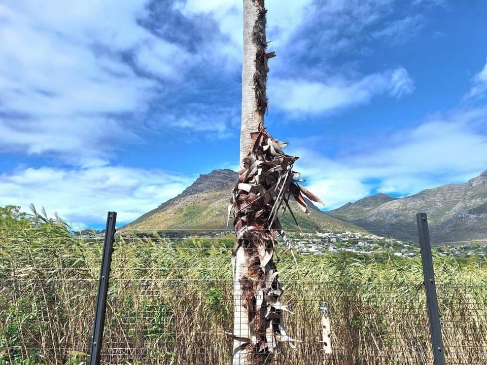 Rustling Reeds Sanctuary Apartment in Cape Town