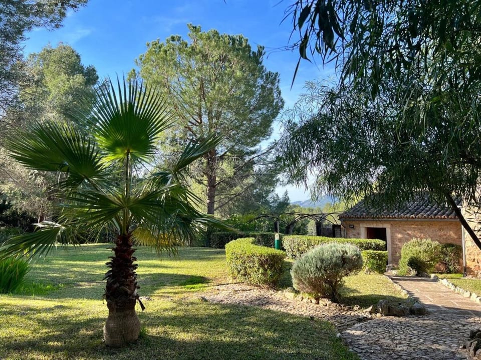 Day, Natural landscape, Garden