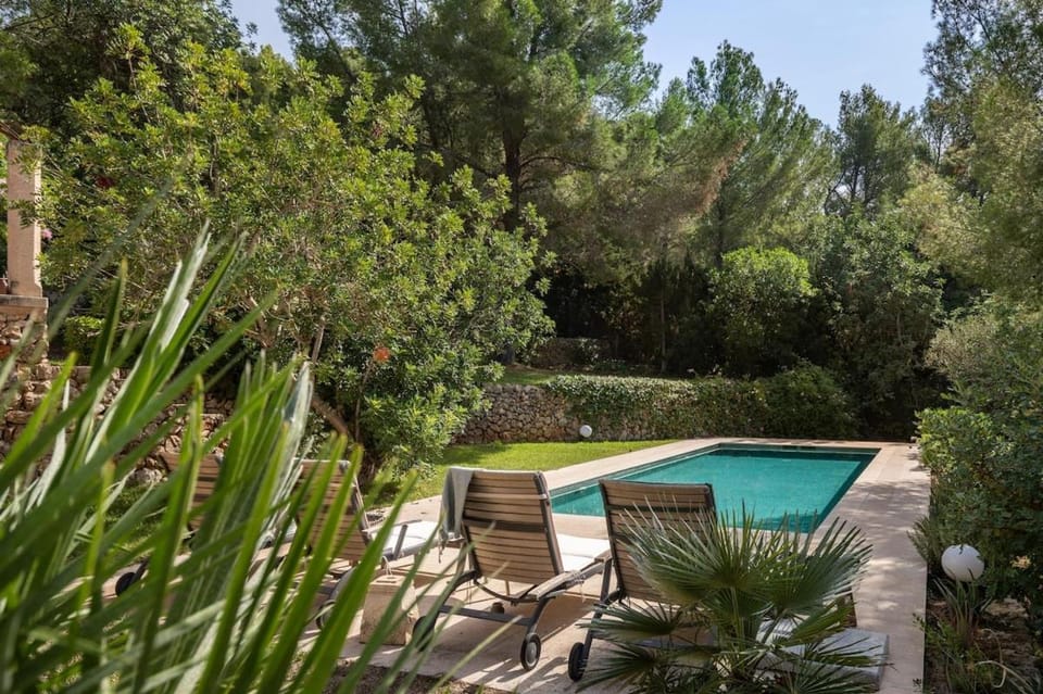 Day, Natural landscape, Garden, Garden view, Pool view, Swimming pool, sunbed