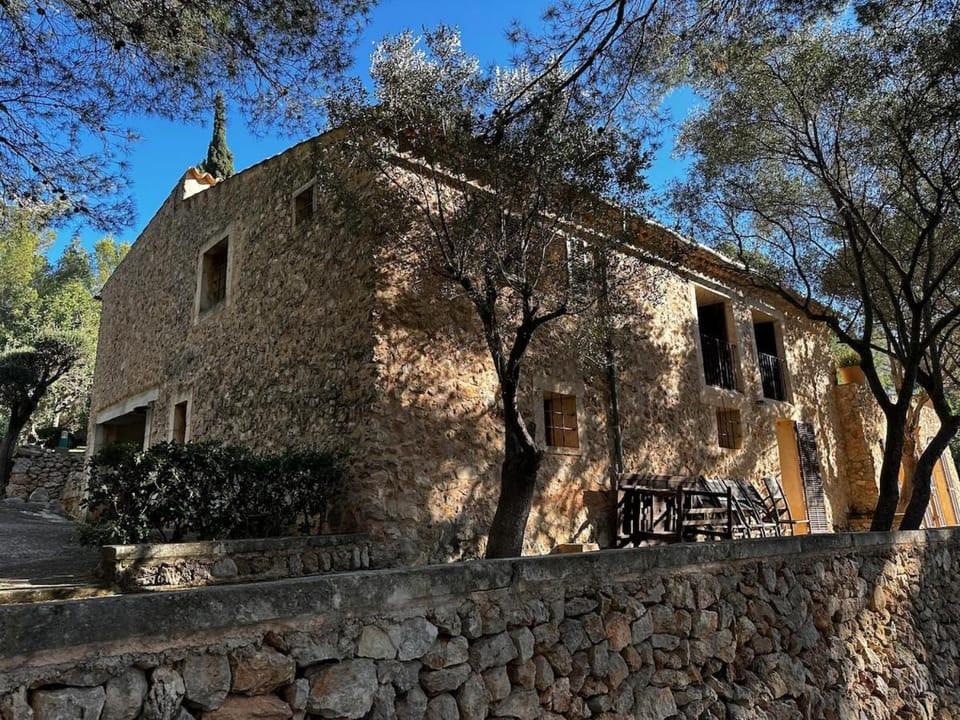 Property building, Day