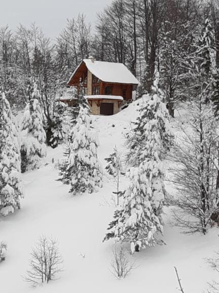 Day, Natural landscape, Winter