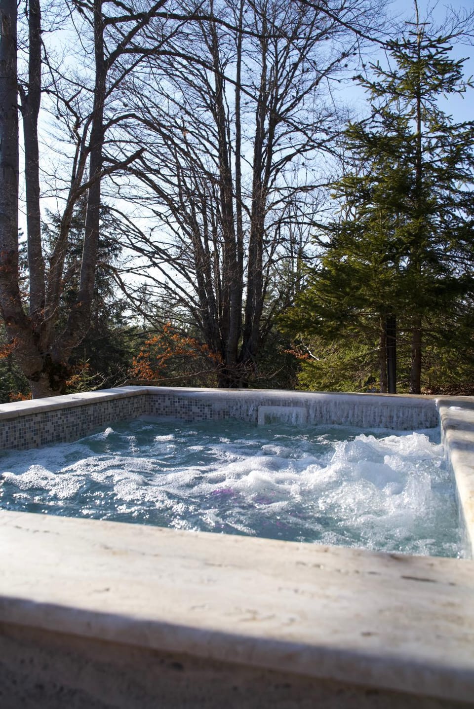Day, Natural landscape, Hot Tub, Pool view, Swimming pool