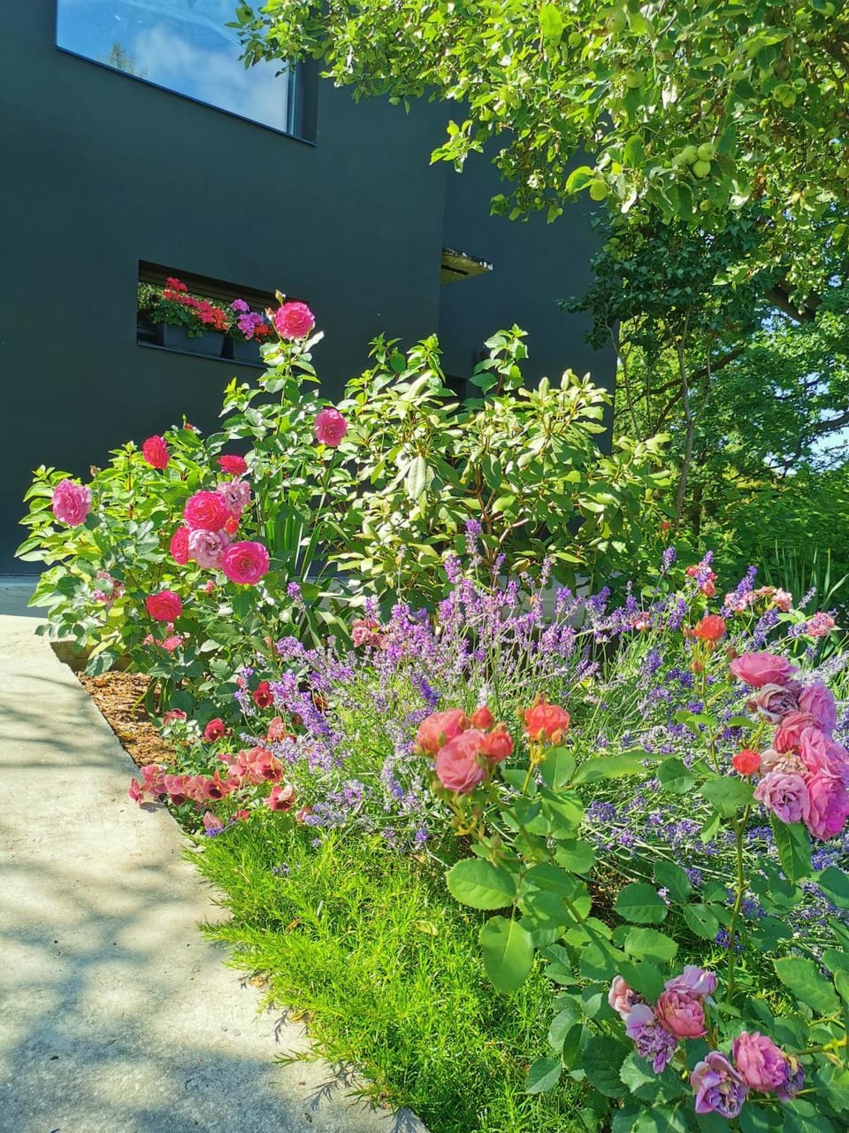 Garden, Garden view