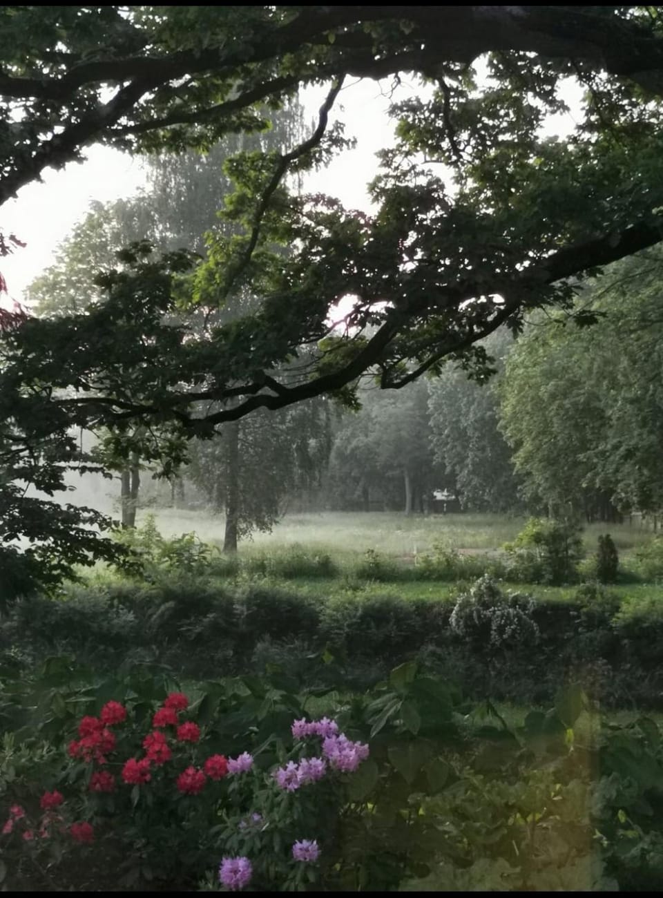 Garden, Garden, Garden view