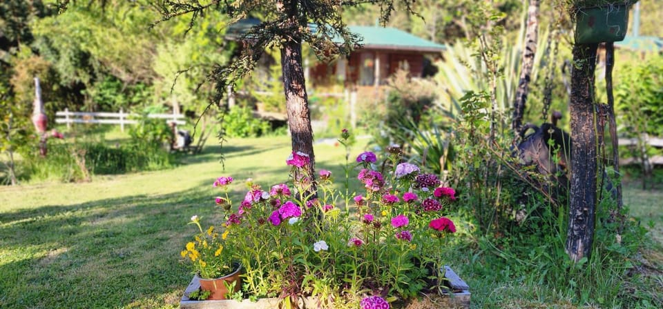 Spring