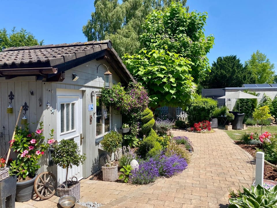 Garden view