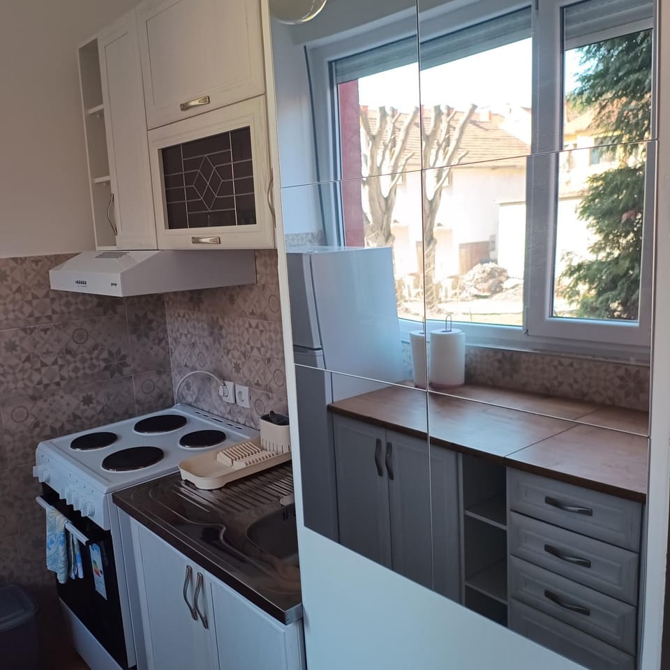 Kitchen or kitchenette, minibar, stove