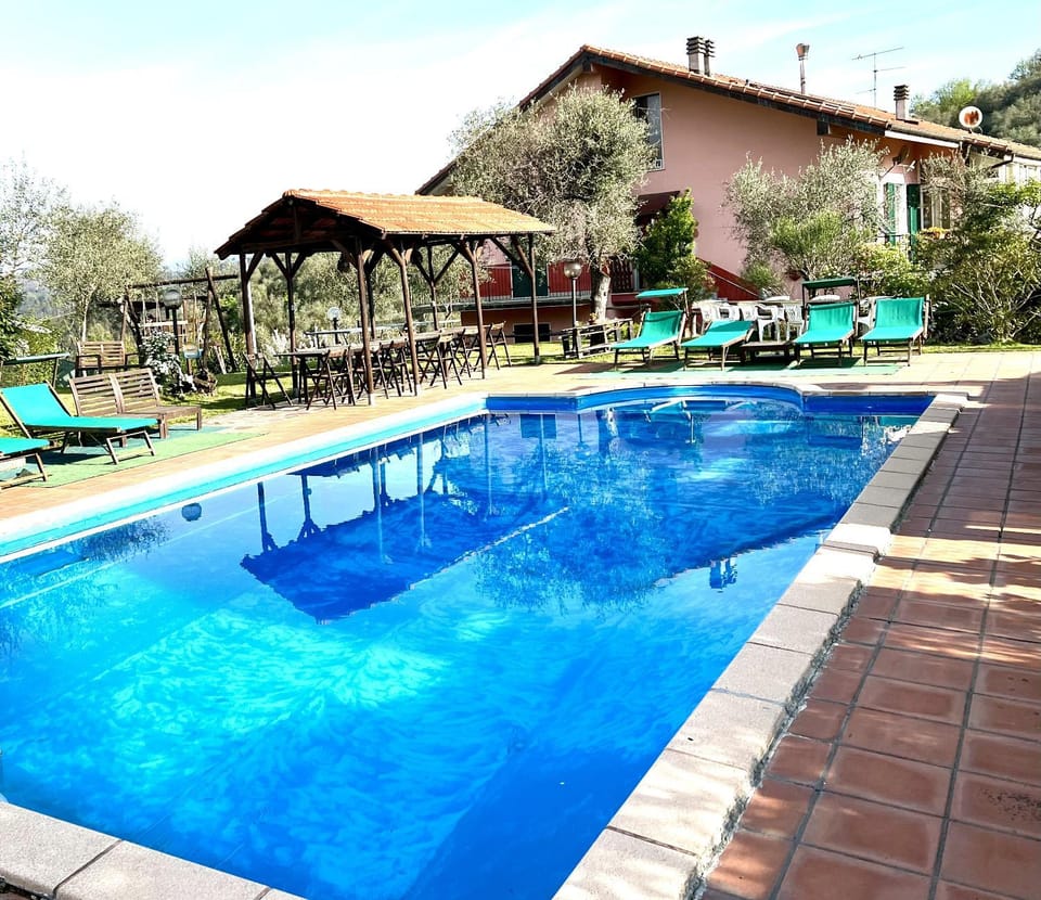 Garden, Garden view, Swimming pool, sunbed