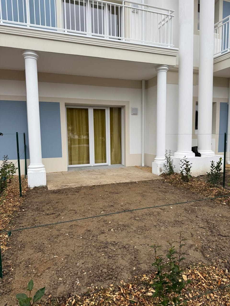 Garden view