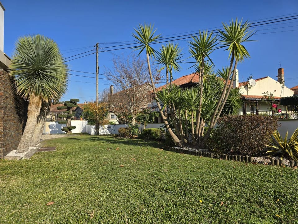 Garden, Garden view