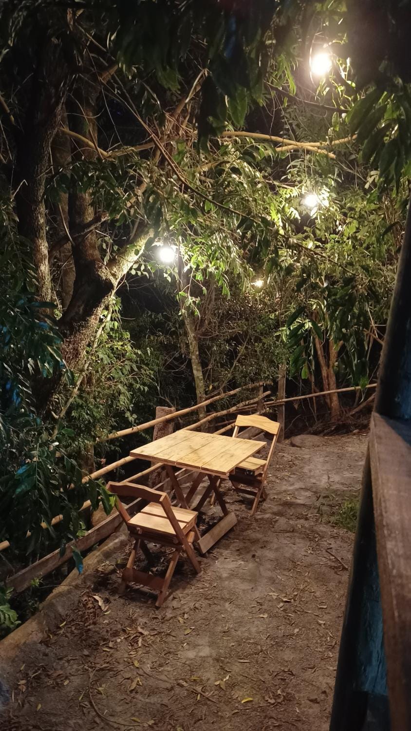 Patio, Natural landscape, Garden, Garden view