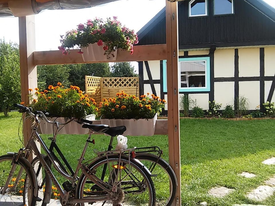 Day, Cycling, Garden view