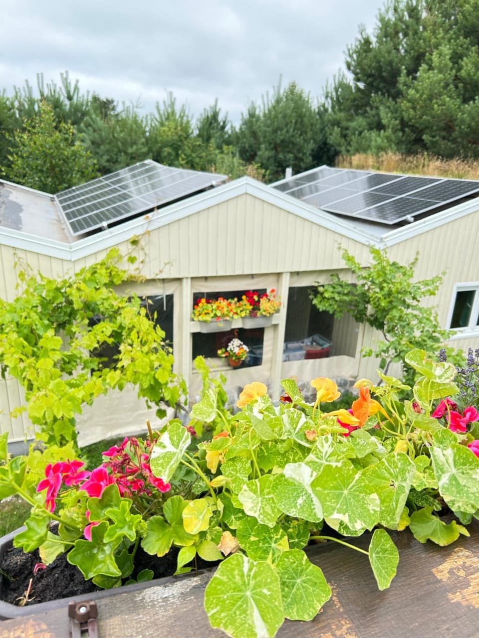 Property building, Garden view