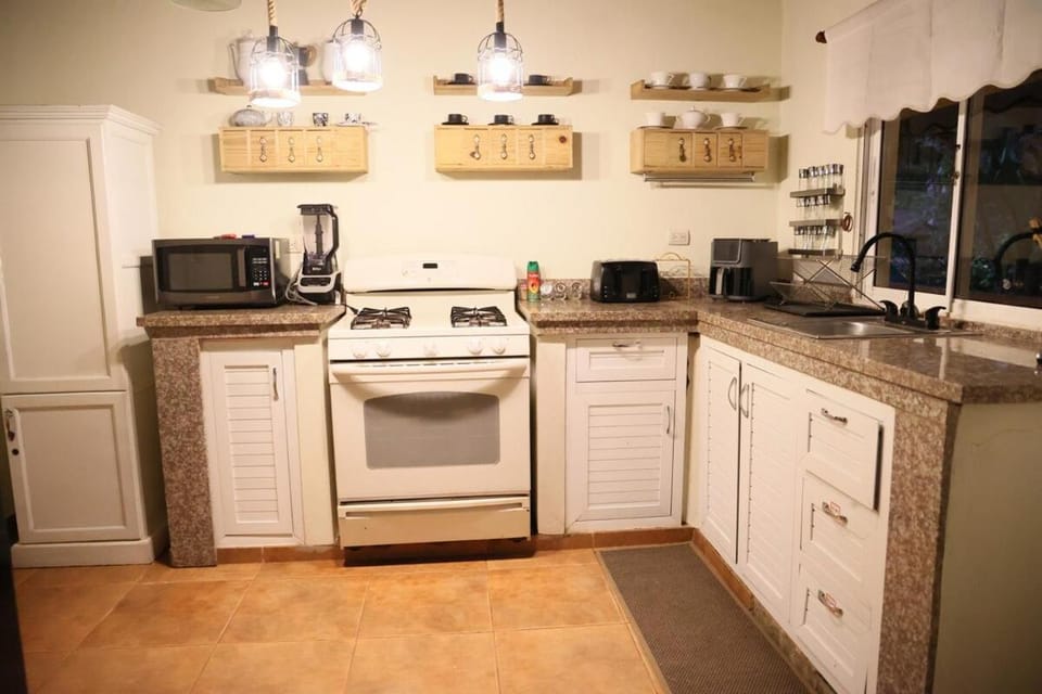 Kitchen or kitchenette, minibar, oven, pet friendly, toaster
