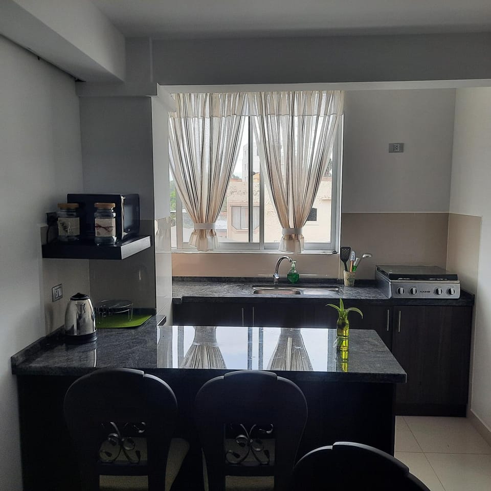 Kitchen or kitchenette, microwave