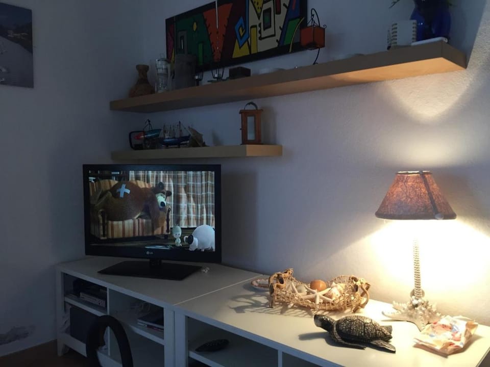 TV and multimedia